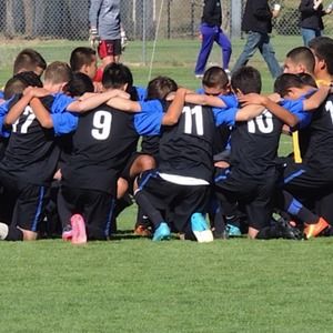 Meet your Posher, Max